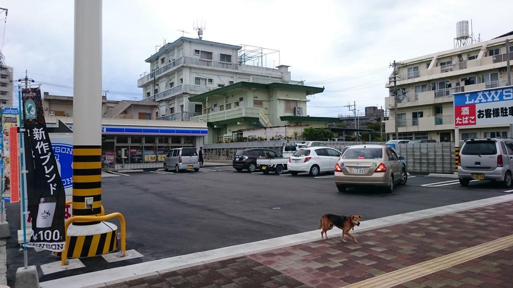 فندق Okinawaفي  Koza Share House المظهر الخارجي الصورة
